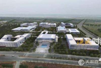 教育部科技發(fā)展中心 驅(qū)動高校科技成果轉(zhuǎn)化的“技術(shù)開發(fā)”引擎